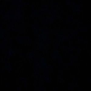 Meet your Posher, Lilly